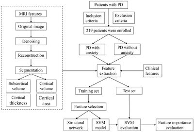 Early identification of Parkinson’s disease with anxiety based on combined clinical and MRI features